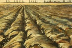 geploegde-akker-acryl-op-doek-80x60-1-scaled